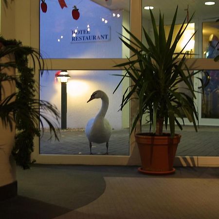 Seehotel Luisenhof Falkenhagen  Esterno foto