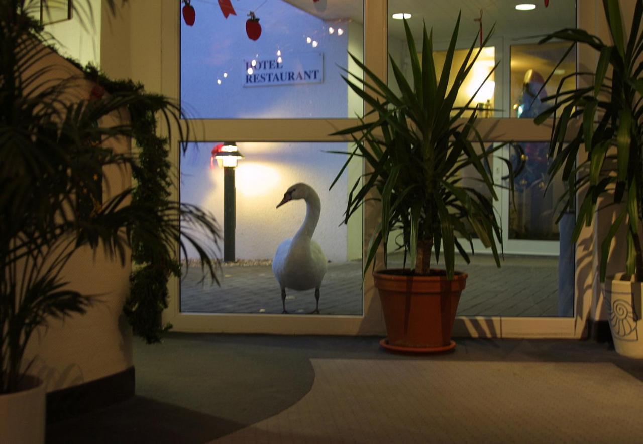 Seehotel Luisenhof Falkenhagen  Esterno foto